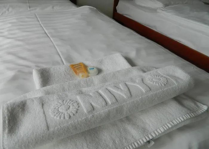 Nivy 布拉迪斯拉发